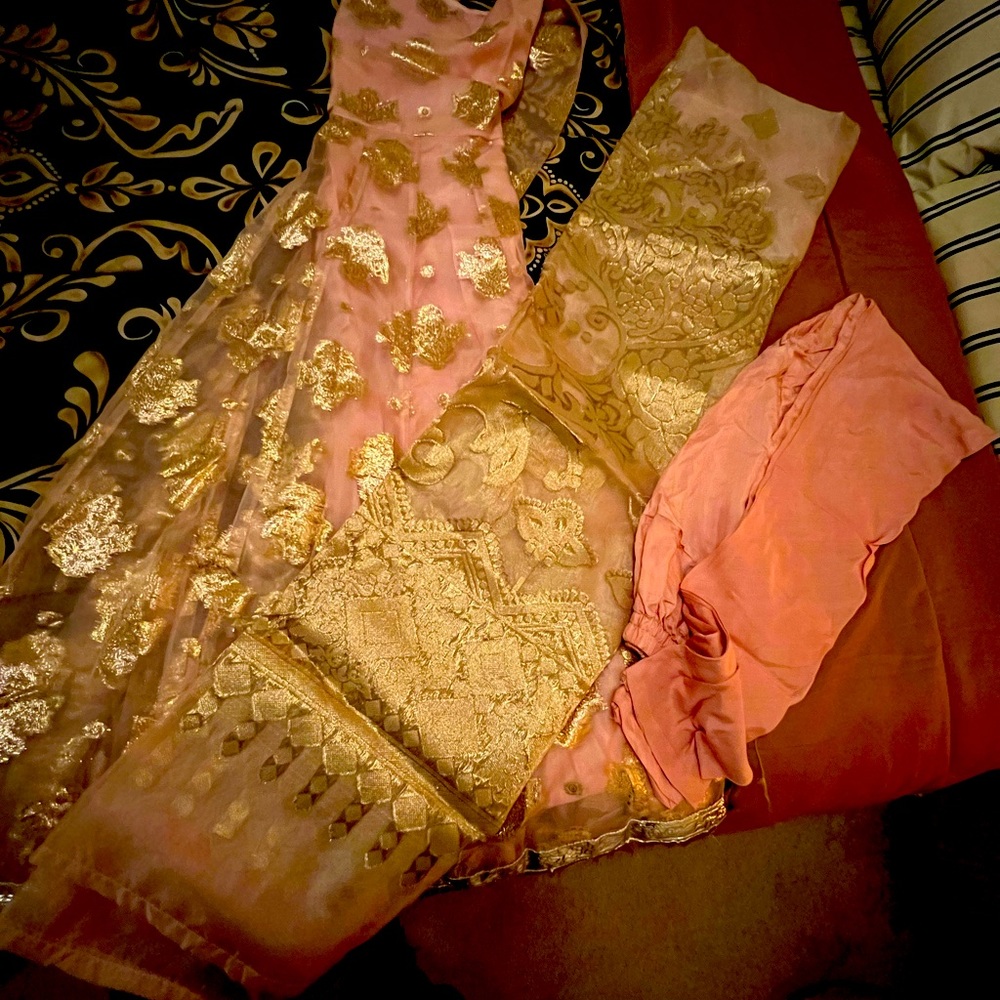 Beautiful pakistani 3pc dress